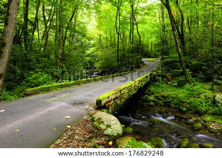 Road and stream in the Great Smoky Mountains, in Tennessee