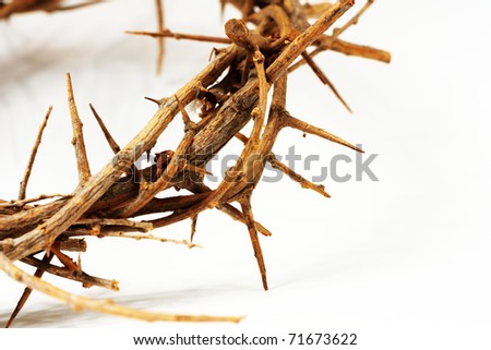 crown of thorns clipart. a crown of thorns on white
