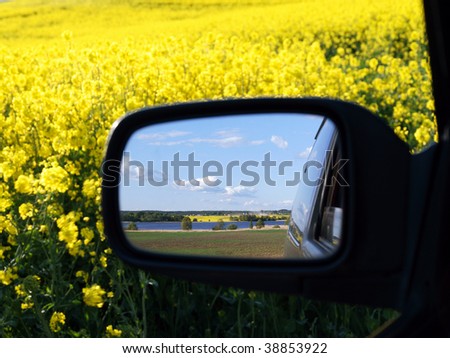 Yellow rapeseed field and blue sky in mirror