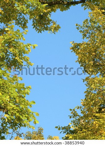 Autumn Border. Blue sky. Autumn gold leaves frame