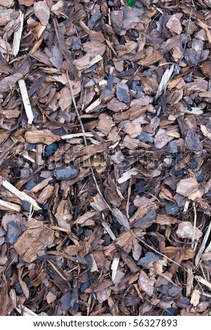 A pile of brown autumn bark Mulch for background