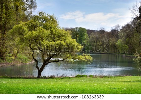 Landscape. The lake in the park.