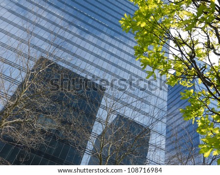 The modern office building. Spring in the city.  The urban scene.