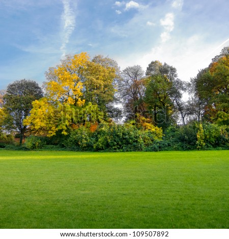 Autumn landscape with trees and lawn in the foreground. The autumn forest.