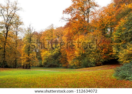 Path in the autumn park. Autumn Landscape. Park in Autumn. Forest  in Autumn. Dry leaves in the foreground.