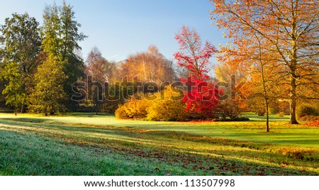 Landscape with the Fall morning in the park. Dew on the grass. Autumn Landscape.