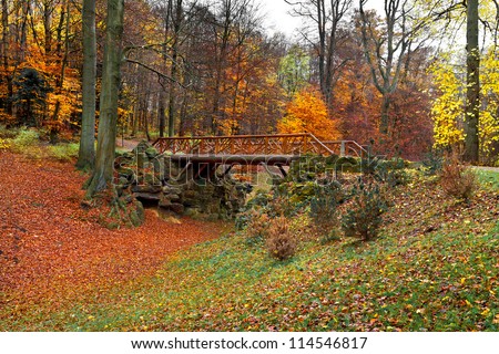 Footbridge in the autumn park. Autumn Landscape.  Park in Autumn. Landscape with the autumn forest. Dry leaves in the foreground. Lonely beautiful autumn tree.