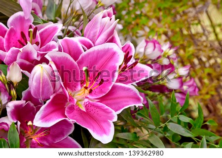 Bouquet of purple lilies. Floral pattern.