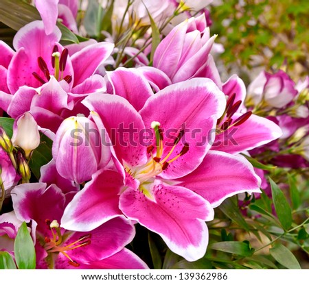Bouquet of purple lilies. Floral pattern.