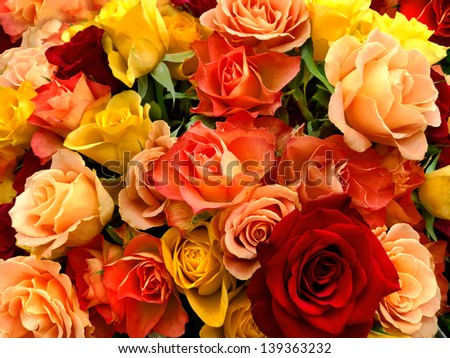 A Bouquet Of Multicolored Roses. Floral Pattern.