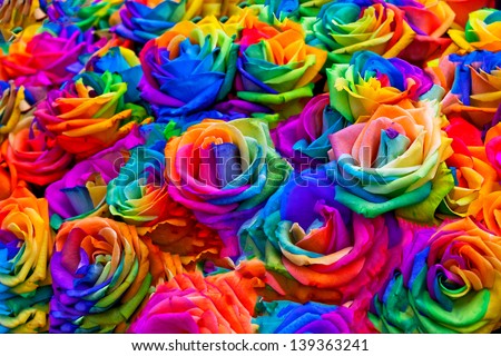 A bouquet of rainbow roses. Floral pattern.