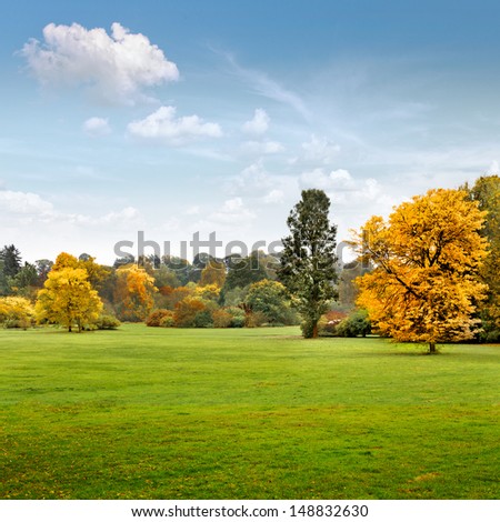 Panorama. Beautiful autumn trees. Autumn landscape.
