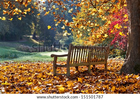 Bench in autumn park. Autumn landscape.