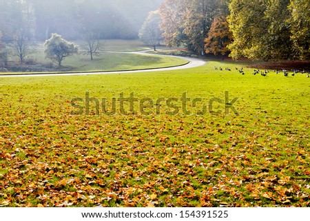 Path in the autumn park. Autumn Landscape. Park in Autumn. Geese in autumn park.