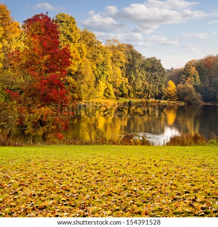 Autumn Landscape. Park In Autumn. The Bright Colors Of Autumn In The Park By The Lake.