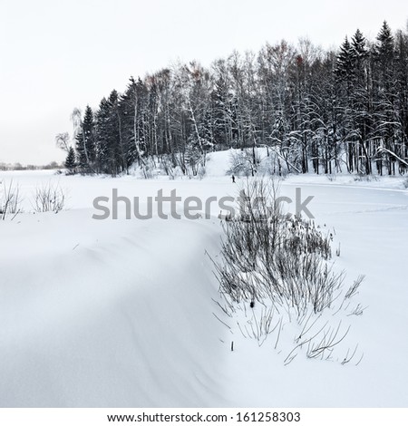 Snow-covered field. Edge of the Forest. Winter landscape.