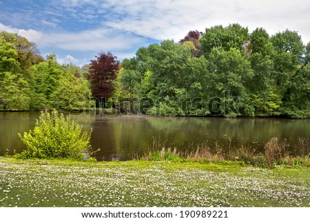 Spring Park. Lake in the spring park.  Spring landscape.