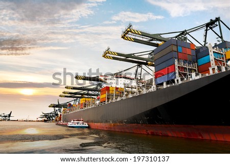 Cargo sea port. Sea cargo cranes. Seascape.