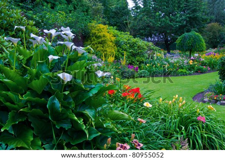 Beautiful Garden. Green Lawn in Landscaped Formal Garden