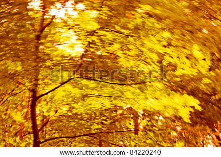 Abstract background. Autumn Trees. Autumn background. Motion blur.