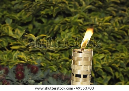 Torch burning to light the way