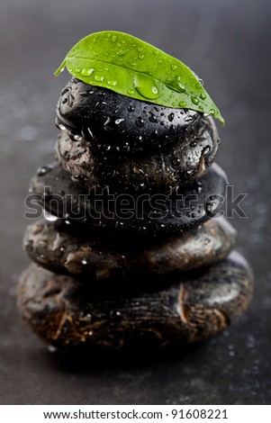 zen stones and fresh plant with water drops