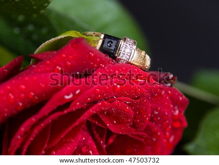 Gold ring and red rose. Close up and Macro shot of a gold ring on a red rose.