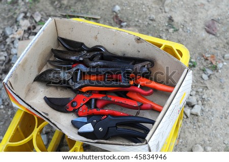 Frequently used tree pruners in cardboard box