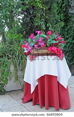 Flower basket with cyclamen  on dressed table outside