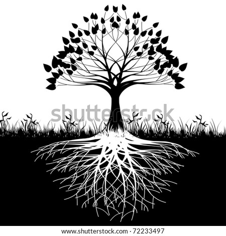 clip art tree with roots. stock photo : Tree roots