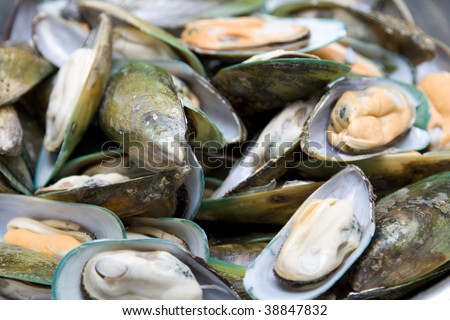 Green Shell Mussels