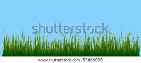 Grass isolated on blue background - very detailed. Also available in vector.