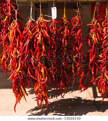Garlands of dry red chilly peppers in the market.