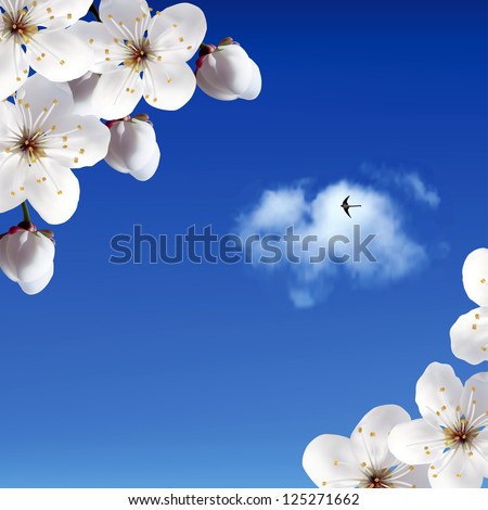 Cherry Blossoms Against The Sky And Clouds. Raster Version.