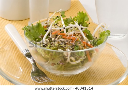 Assorted sprouts salad in a glass bowl. Selective focus.