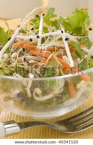 Assorted sprouts salad in a glass bowl. Selective focus.