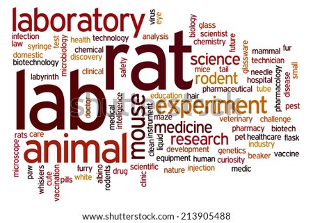 Lab rat concept word cloud background