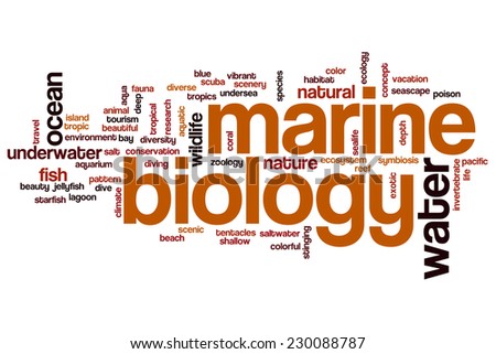 Marine biology word cloud concept