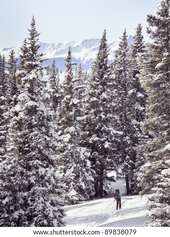 A cross-country skier enjoys a powder day in the Colorado wilderness