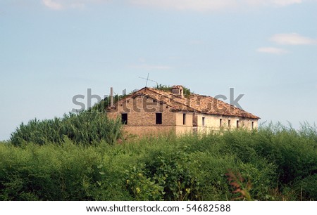 Old deserted house overrun with grass