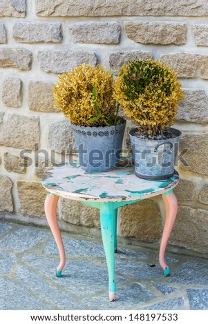 vintage table with two withered plants in zinc buckets