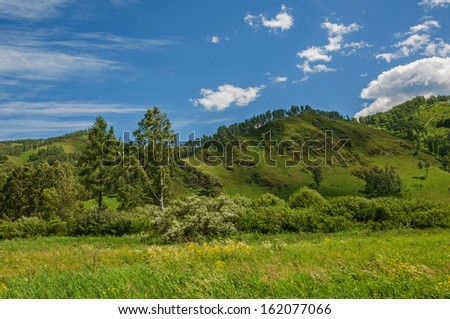 Landscape with mountains, flowers and green grass in a meadow, trees and blue sky.