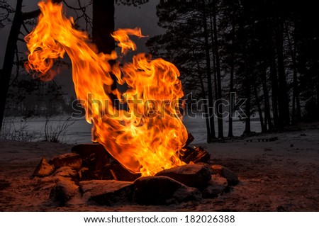 Huge flames of a bonfire in the shape of a dragon on the bank of a frozen river in the winter twilight