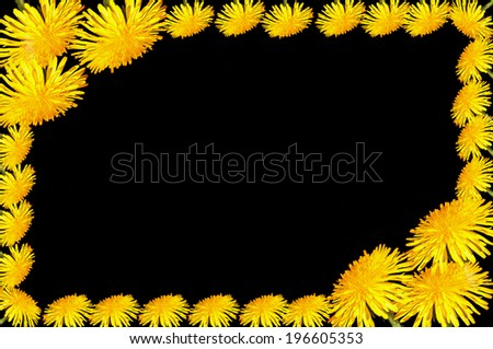 Decorative frame of yellow flowers of dandelion and a black background inside