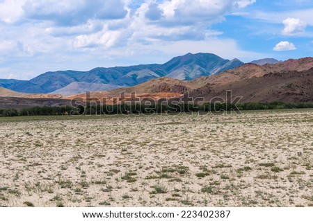 Scenic desert steppe landscape with mountains. Dry land with rare plants as foreground and mountains, blue sky and clouds in the background.