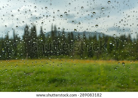 View of the mountain landscape with forest, meadow and flowers through the window glass of the car covered by rain drops