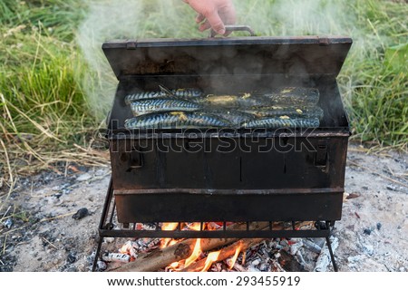Appetizing fish mackerel hot smoked cooked in a smokehouse on the nature of a picnic