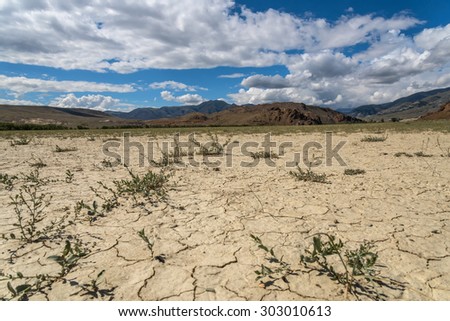 Scenic desert steppe landscape with mountains. Dry land with rare plants as the foreground and mountains, sky and clouds in the background.