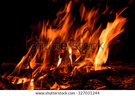 Red and orange spurts of flames, charcoal from the fire, wood and twigs in a fire on a black background