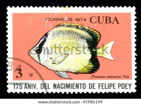 CUBA - CIRCA 1974: A postage stamp printed in the Cuba shows image a sea life, the fish \
